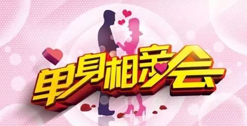 单身婚恋交友，探索现代婚恋新路径，现代婚恋新路径探索，单身婚恋交友之道